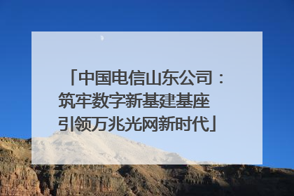 中国电信山东公司：筑牢数字新基建基座 引领万兆光网新时代