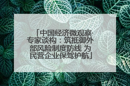 中国经济微观察·专家谈构：筑抵御外部风险制度防线 为民营企业保驾护航