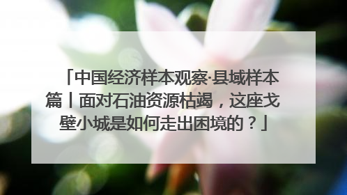 中国经济样本观察·县域样本篇丨面对石油资源枯竭，这座戈壁小城是如何走出困境的？