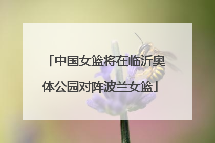 中国女篮将在临沂奥体公园对阵波兰女篮