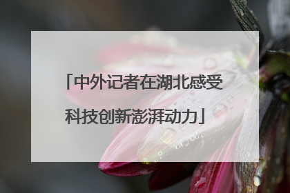 中外记者在湖北感受科技创新澎湃动力