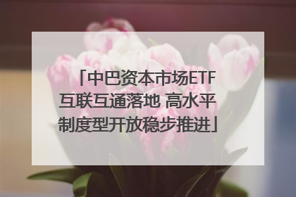 中巴资本市场ETF互联互通落地 高水平制度型开放稳步推进
