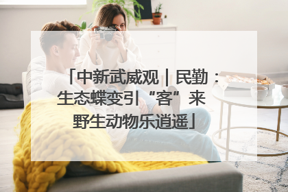 中新武威观｜民勤：生态蝶变引“客”来 野生动物乐逍遥