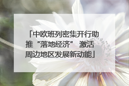 中欧班列密集开行助推“落地经济” 激活周边地区发展新动能