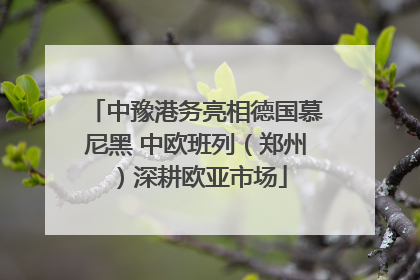 中豫港务亮相德国慕尼黑 中欧班列(郑州)深耕欧亚市场