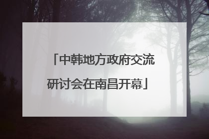 中韩地方政府交流研讨会在南昌开幕