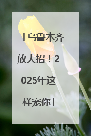 乌鲁木齐放大招！2025年这样宠你