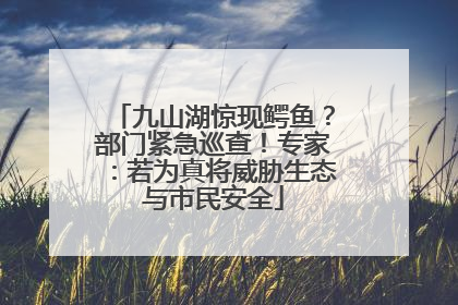 九山湖惊现鳄鱼？部门紧急巡查！专家：若为真将威胁生态与市民安全