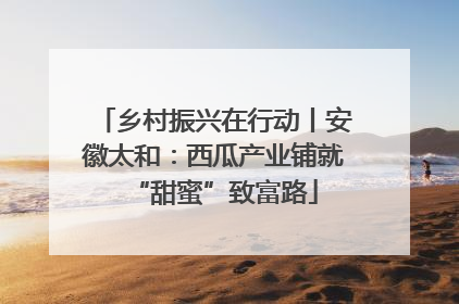 乡村振兴在行动丨安徽太和：西瓜产业铺就“甜蜜”致富路