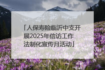 人保寿险临沂中支开展2025年信访工作法制化宣传月活动