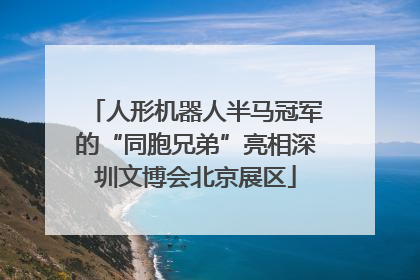 人形机器人半马冠军的“同胞兄弟”亮相深圳文博会北京展区