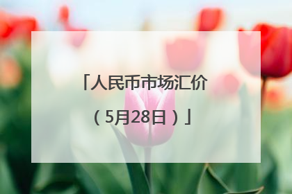 人民币市场汇价（5月28日）