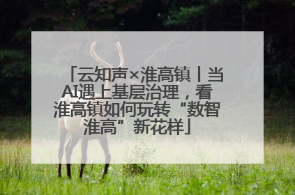 云知声×淮高镇丨当AI遇上基层治理，看淮高镇如何玩转“数智淮高”新花样