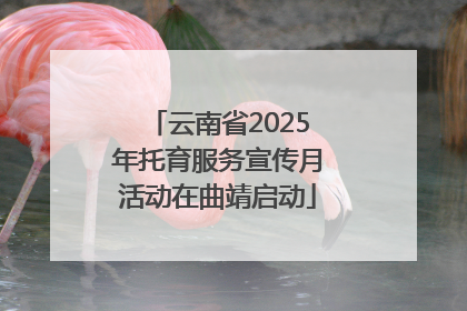 云南省2025年托育服务宣传月活动在曲靖启动