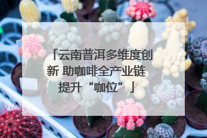 云南普洱多维度创新 助咖啡全产业链提升“咖位”