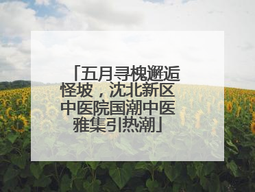 五月寻槐邂逅怪坡，沈北新区中医院国潮中医雅集引热潮