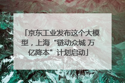 京东工业发布这个大模型，上海“链动众城 万亿降本”计划启动