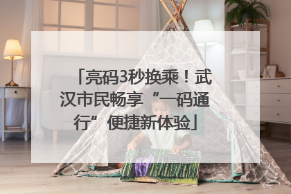 亮码3秒换乘！武汉市民畅享“一码通行”便捷新体验
