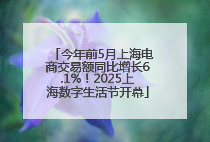 今年前5月上海电商交易额同比增长6.1%！2025上海数字生活节开幕