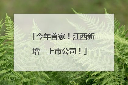 今年首家！江西新增一上市公司！