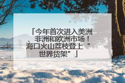 今年首次进入美洲、非洲和欧洲市场！海口火山荔枝登上“世界货架”