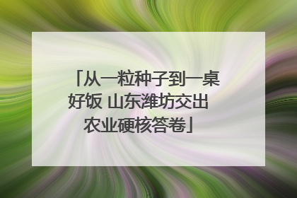 从一粒种子到一桌好饭 山东潍坊交出农业硬核答卷