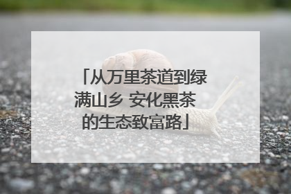 从万里茶道到绿满山乡 安化黑茶的生态致富路