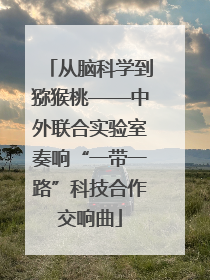 从脑科学到猕猴桃——中外联合实验室奏响“一带一路”科技合作交响曲