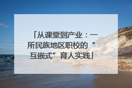 从课堂到产业：一所民族地区职校的“互嵌式”育人实践