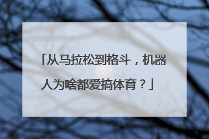 从马拉松到格斗，机器人为啥都爱搞体育？