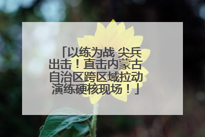 以练为战 尖兵出击！直击内蒙古自治区跨区域拉动演练硬核现场！