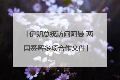 伊朗总统访问阿曼 两国签署多项合作文件