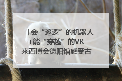 会“巡逻”的机器人+能“穿越”的VR 来西博会德阳馆感受古蜀文明与现代智造的时空对话｜西博视界