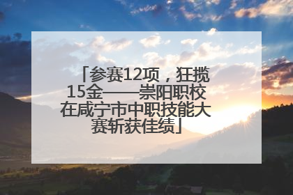 参赛12项，狂揽15金——崇阳职校在咸宁市中职技能大赛斩获佳绩