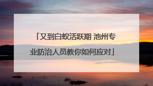 又到白蚁活跃期 池州专业防治人员教你如何应对