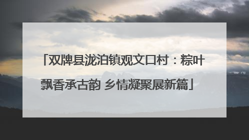双牌县泷泊镇观文口村：粽叶飘香承古韵 乡情凝聚展新篇