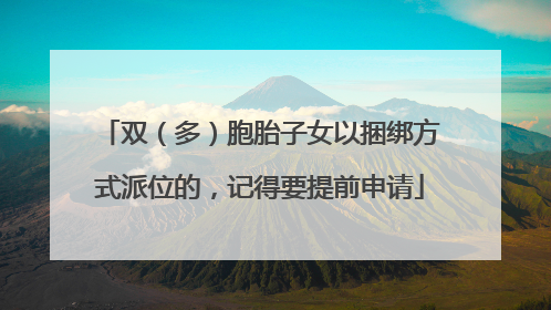 双（多）胞胎子女以捆绑方式派位的，记得要提前申请