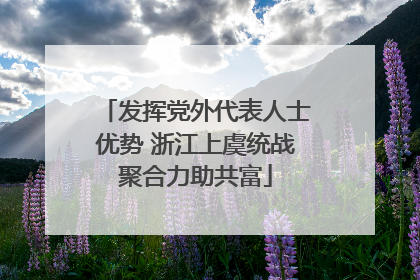 发挥党外代表人士优势 浙江上虞统战聚合力助共富
