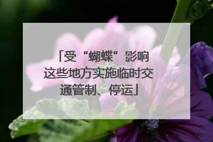 受“蝴蝶”影响 这些地方实施临时交通管制、停运