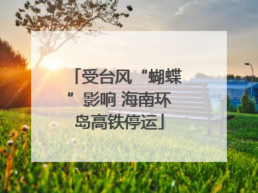 受台风“蝴蝶”影响 海南环岛高铁停运