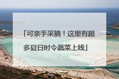 可亲手采摘！这里有超多夏日时令蔬菜上线