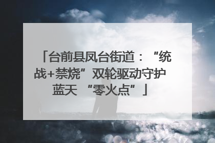 台前县凤台街道：“统战+禁烧”双轮驱动守护蓝天 “零火点”