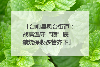 台前县凤台街道：战高温守“粮”辰 禁烧保收多管齐下