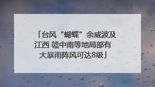 台风“蝴蝶”余威波及江西 赣中南等地局部有大暴雨阵风可达8级