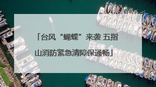 台风“蝴蝶”来袭 五指山消防紧急清障保通畅
