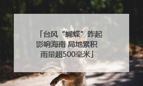 台风“蝴蝶”昨起影响海南 局地累积雨量超500毫米