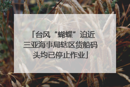 台风“蝴蝶”迫近 三亚海事局辖区货船码头均已停止作业