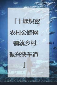 十堰织密农村公路网 铺就乡村振兴快车道