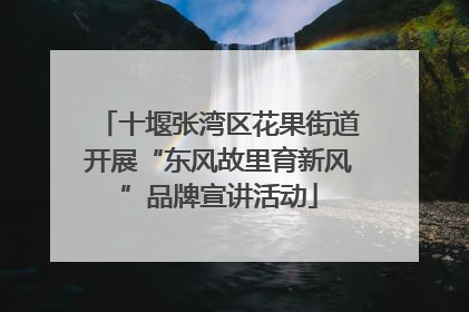十堰张湾区花果街道开展“东风故里育新风”品牌宣讲活动