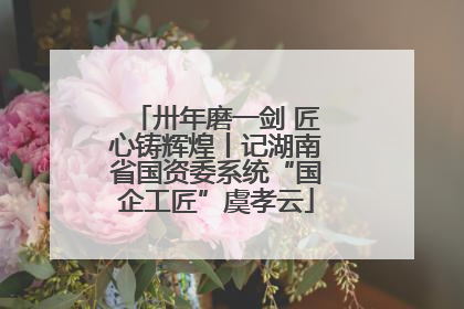卅年磨一剑 匠心铸辉煌丨记湖南省国资委系统“国企工匠”虞孝云